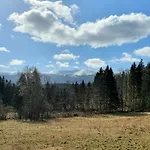 Nr 16