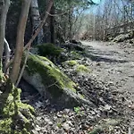 Nr 16