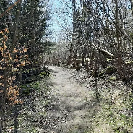 Nr 16 アパート シクラルスカ・ポレンバ